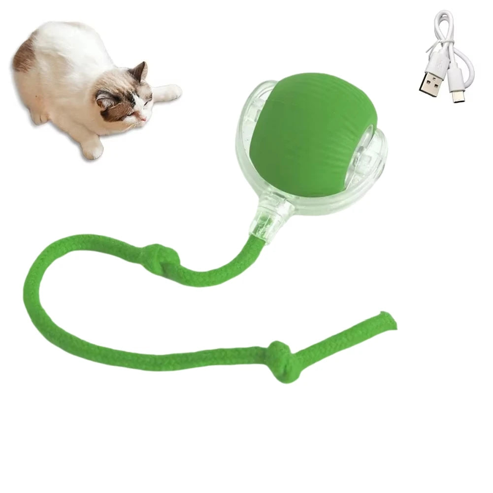 Automatic Rolling Ball Electric Toy for Pets