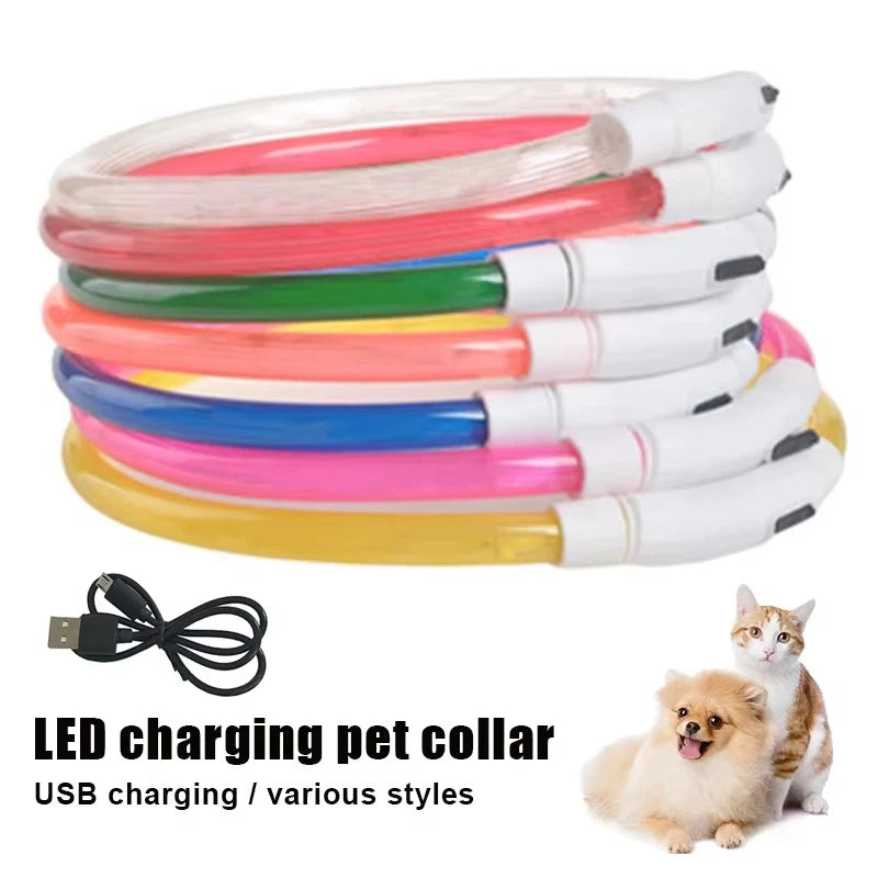 Night walk dog collar