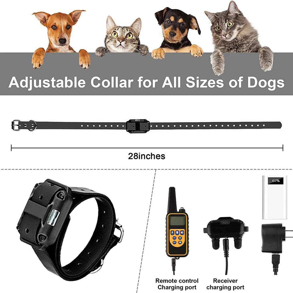 Digital Dog Training Collar