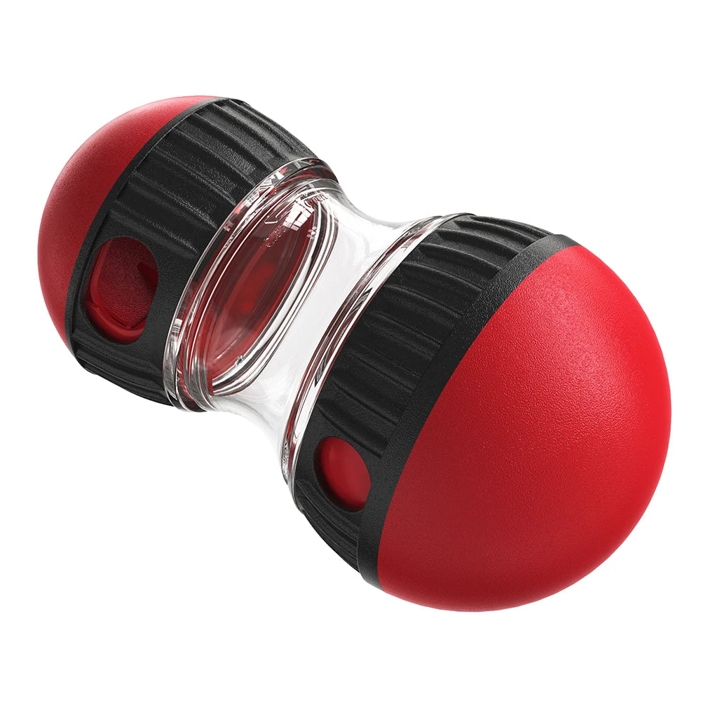 Indoor Training Puppy Toys
