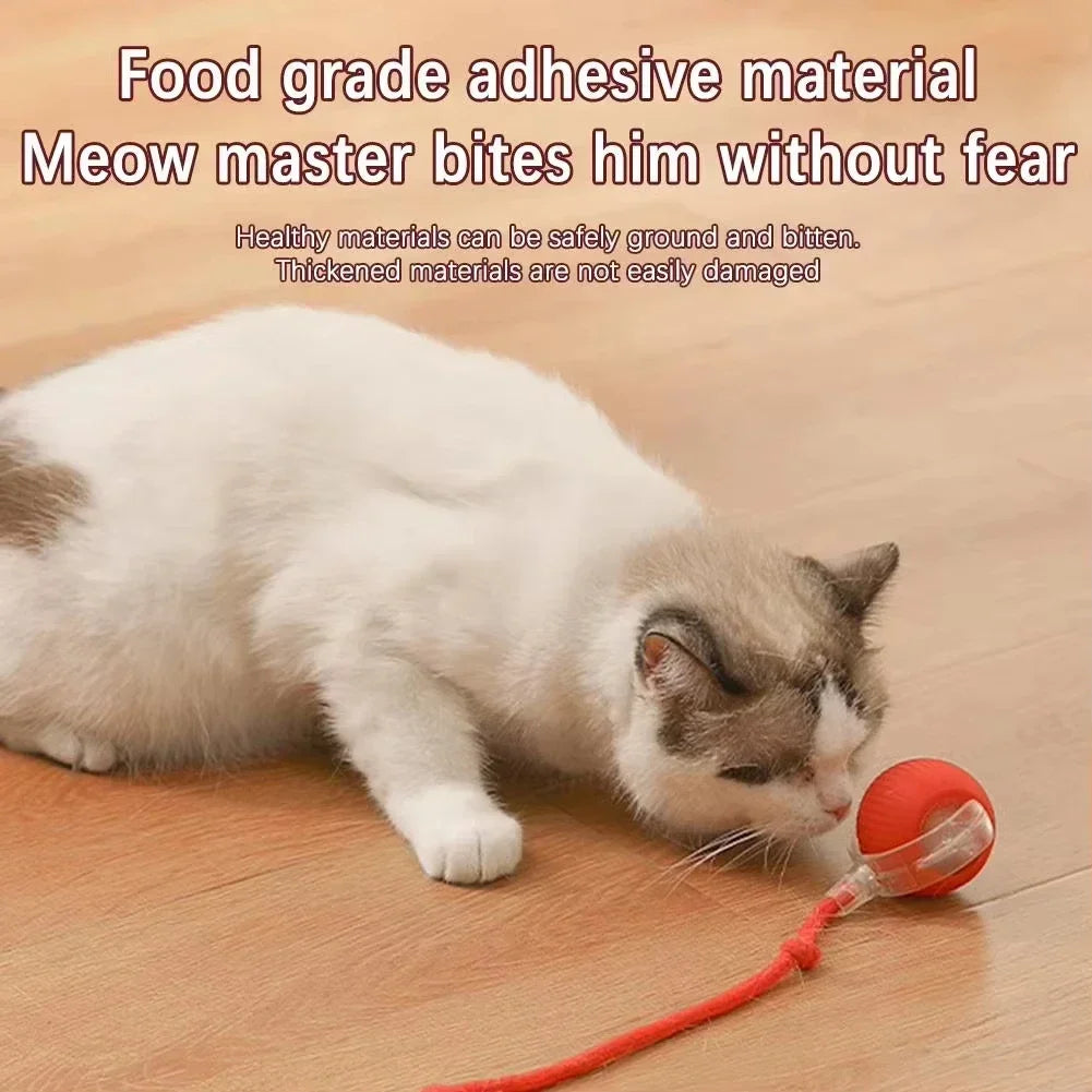 Auto Rolling USB Cat Toy Ball
