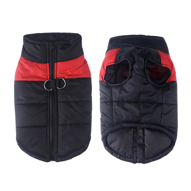 Winter Dog Clothes