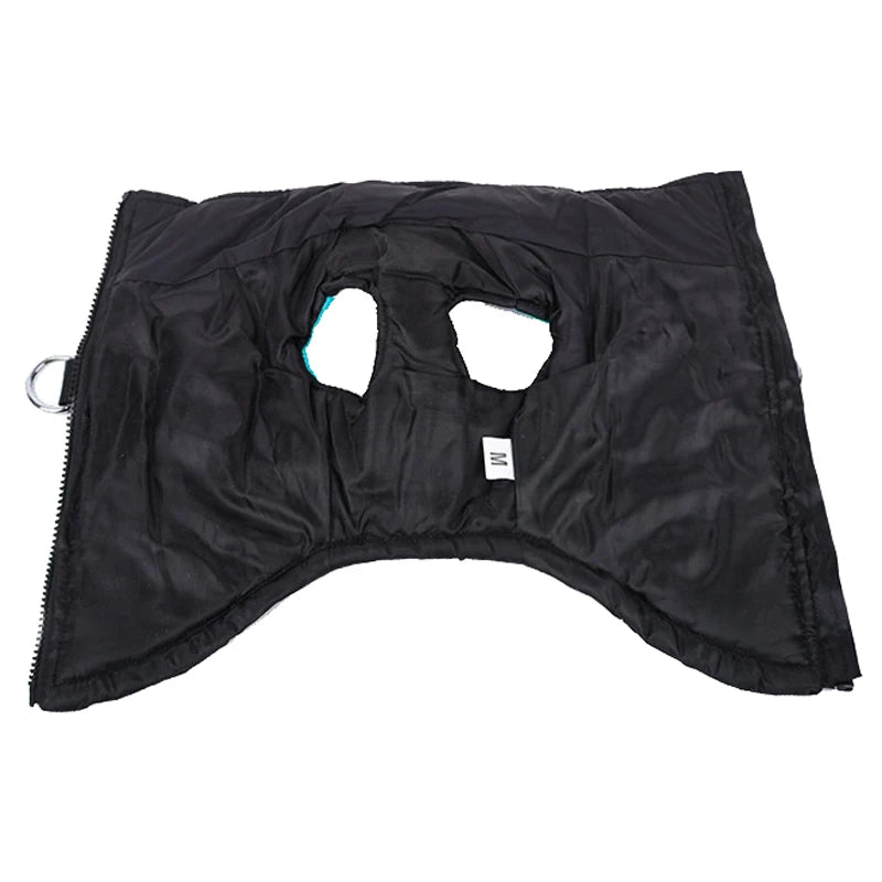 Winter Dog Clothes