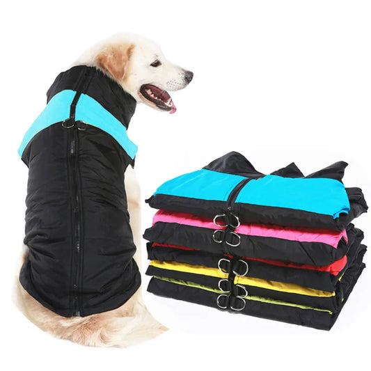 Winter Dog Clothes