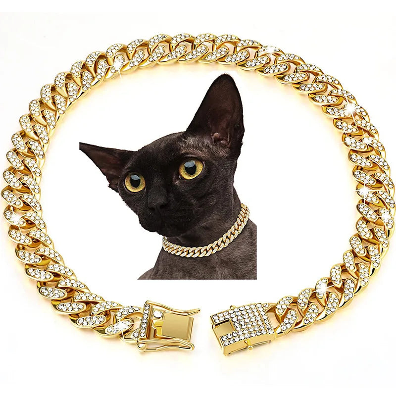 Golden Dog Collar