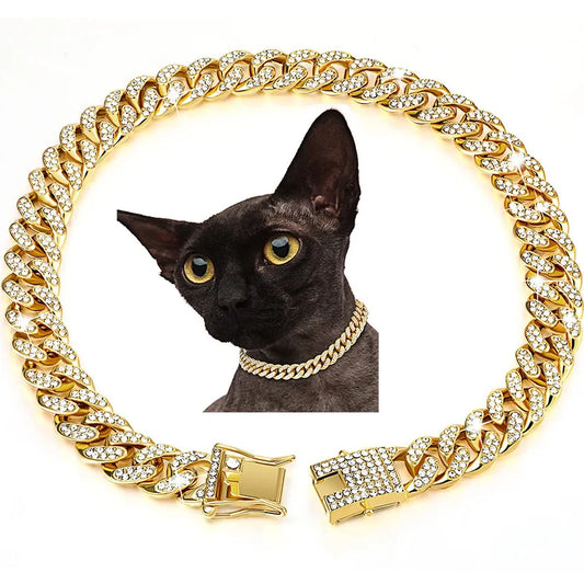 Golden Dog Collar