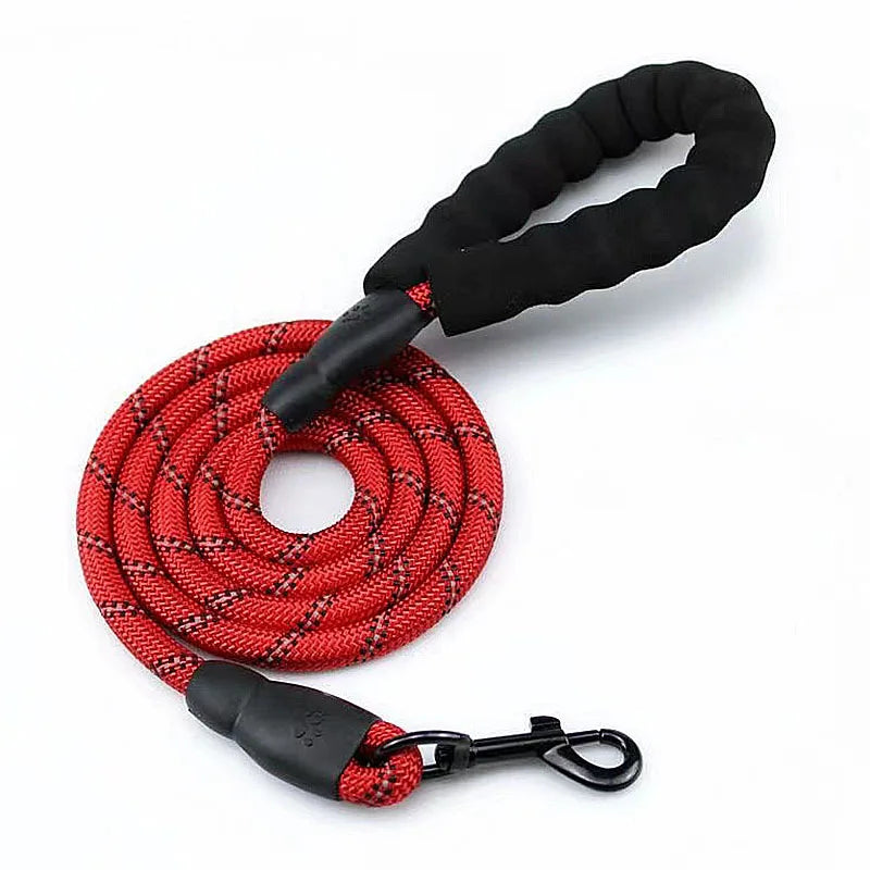 Reflective Dog Leash with Padded Handle