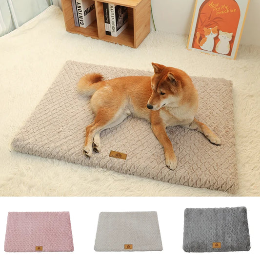 3D Foam Pet Bed