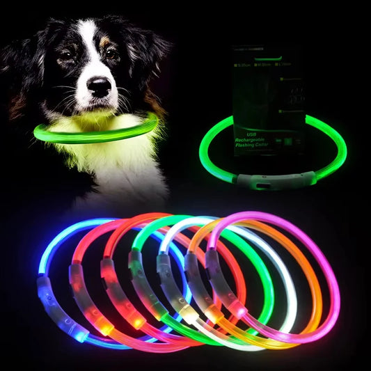Night walk dog collar