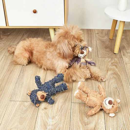 Teddy Bear Dog Chew Toy