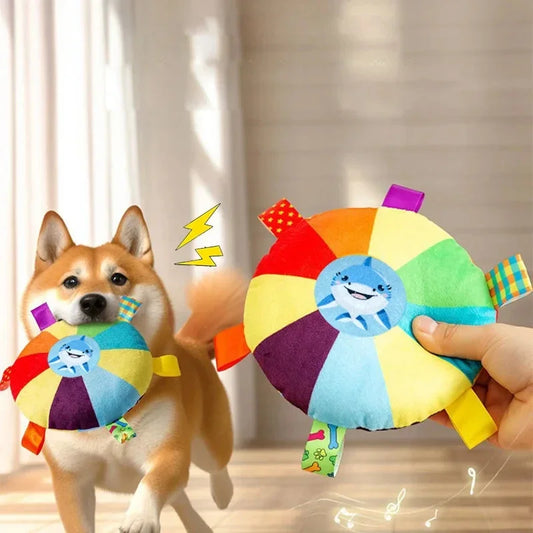 Rainbow Flying Dog Disc