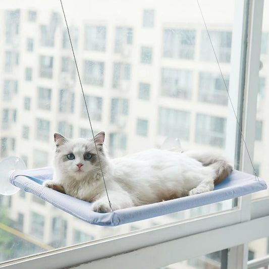 Pet cat hammock