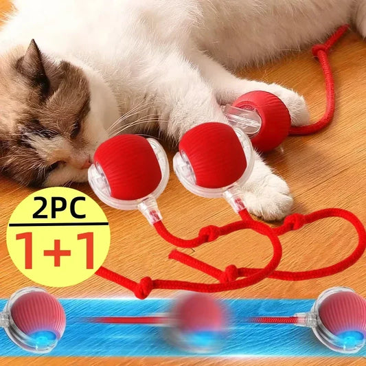 Auto Rolling USB Cat Toy Ball
