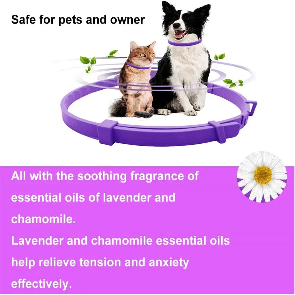 CalmPet Collar
