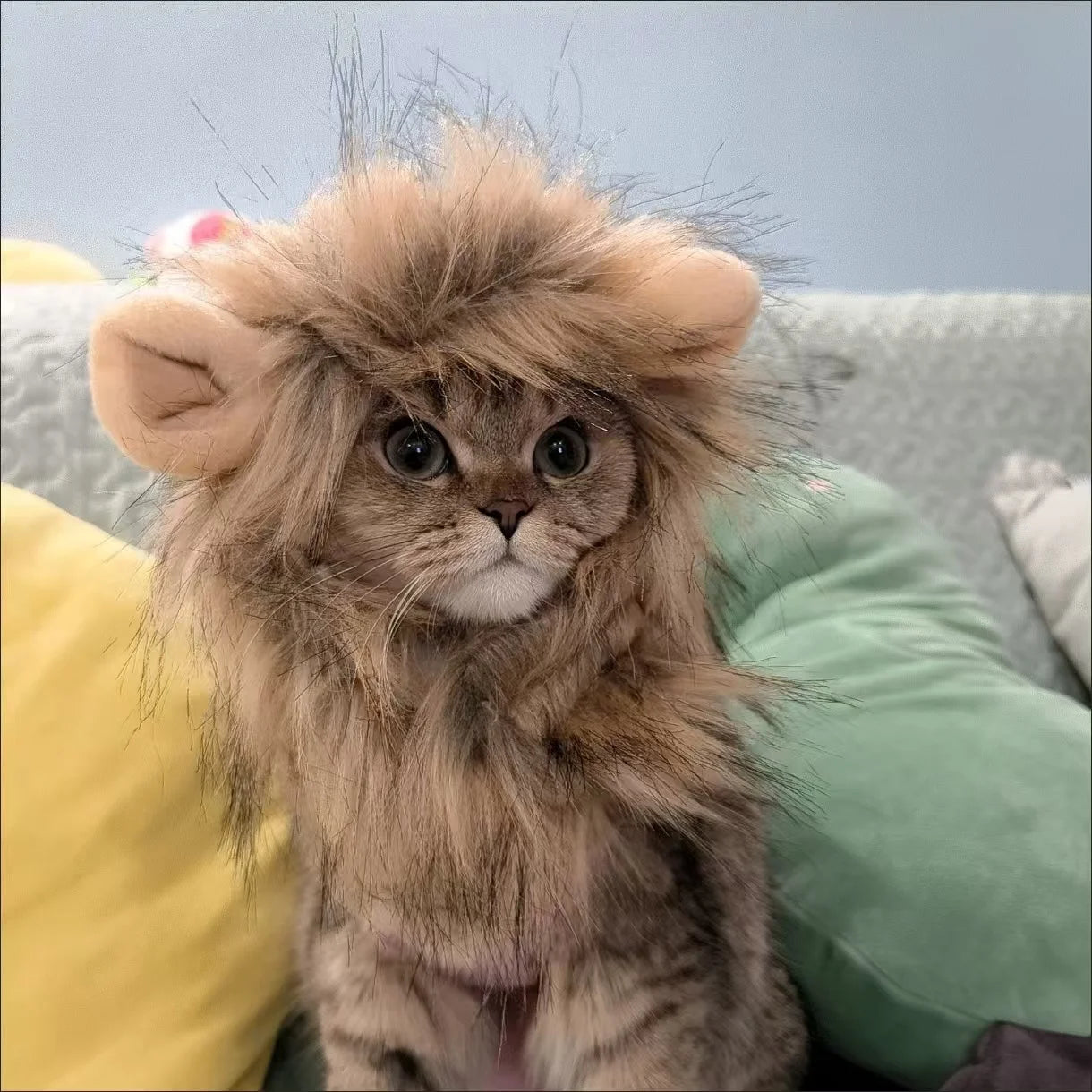 Lion Mane Pet Costume Hat