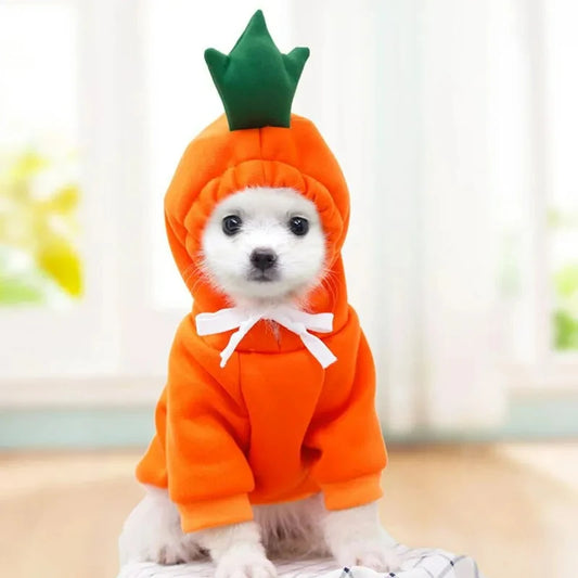 Cute Design Sweater