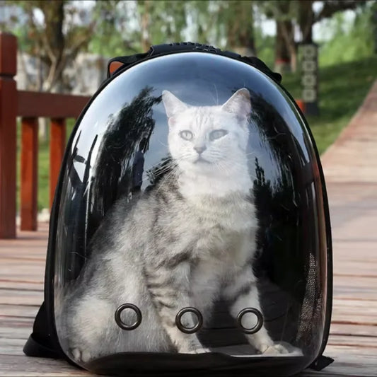Portable & Breathable Pet Travel Bag