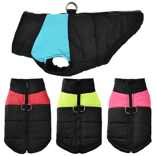 Autumn Jacket With D-ring