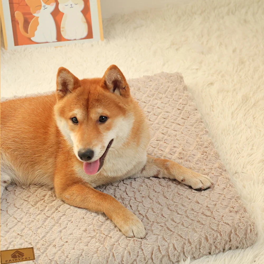 3D Foam Pet Bed