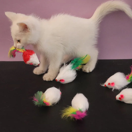 FeatherMouse Cat Toy