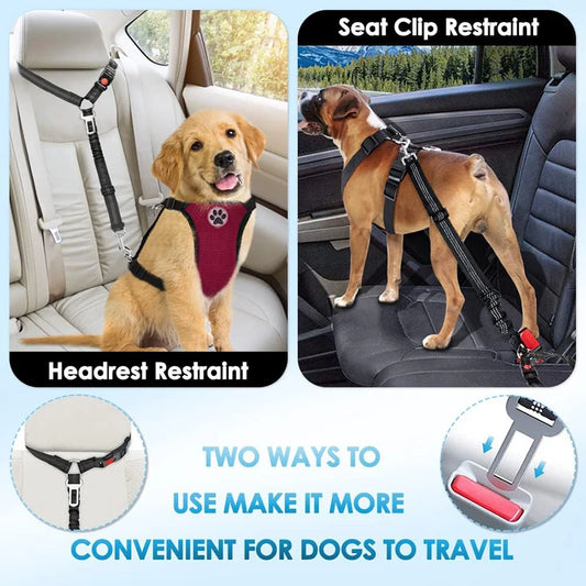 Pet car seat belt rope